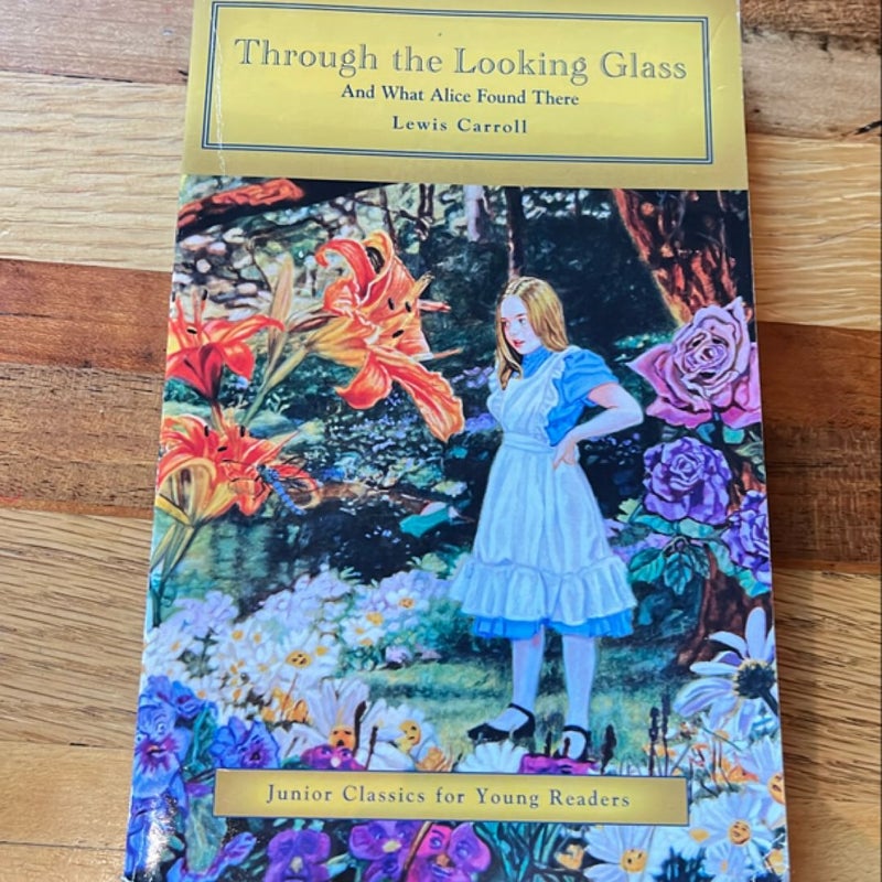 Through the Looking Glass 