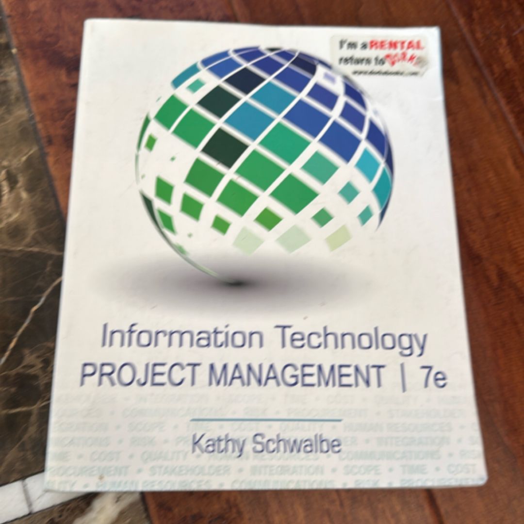 Information Technology Project Management