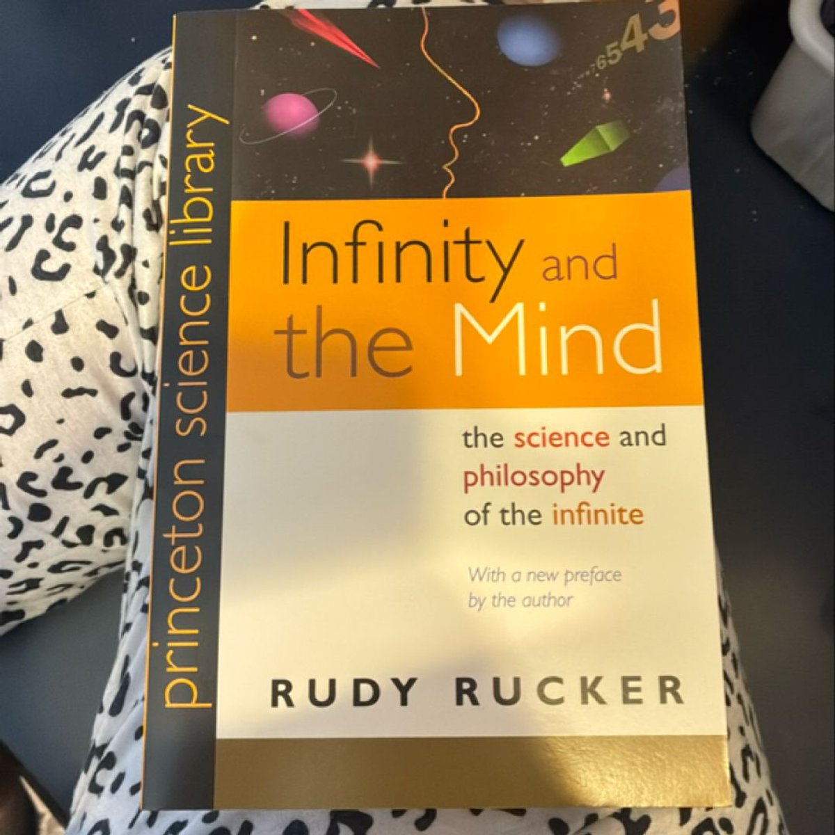 Infinity and the Mind by Rudy Rucker
