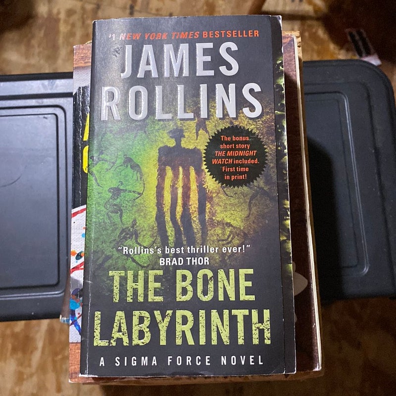 The Bone Labyrinth