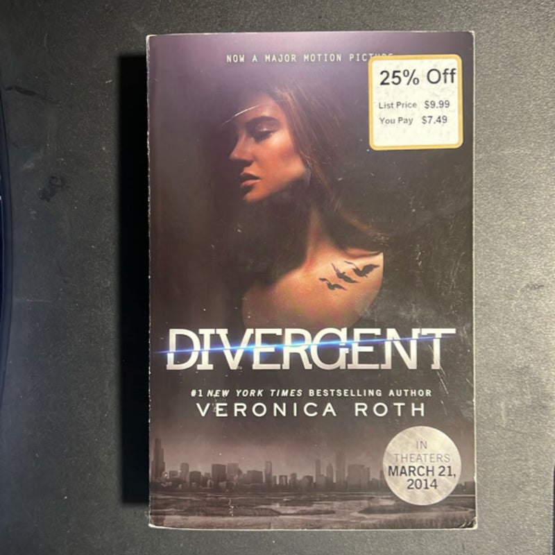 Divergent Series 