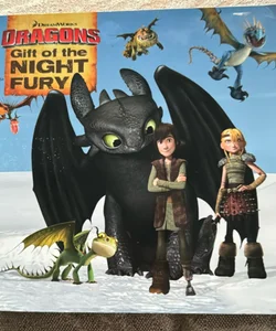 Dragons Gift of the Night Fury
