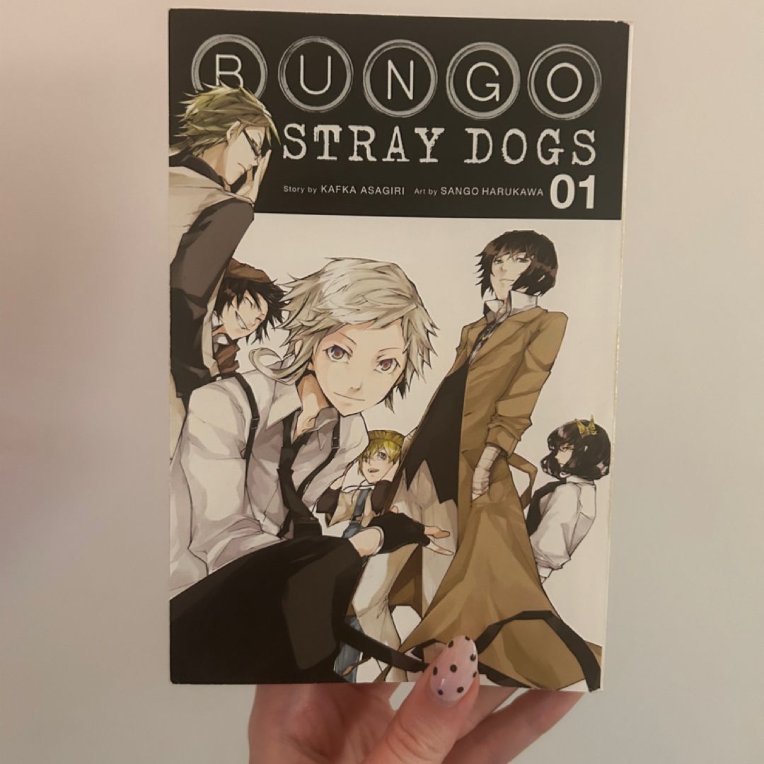 Bungo Stray Dogs, Vol. 1