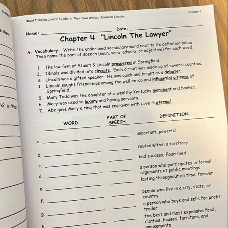 Novel Thinking- In Their Own Words Abraham Lincoln Lesson Guide 