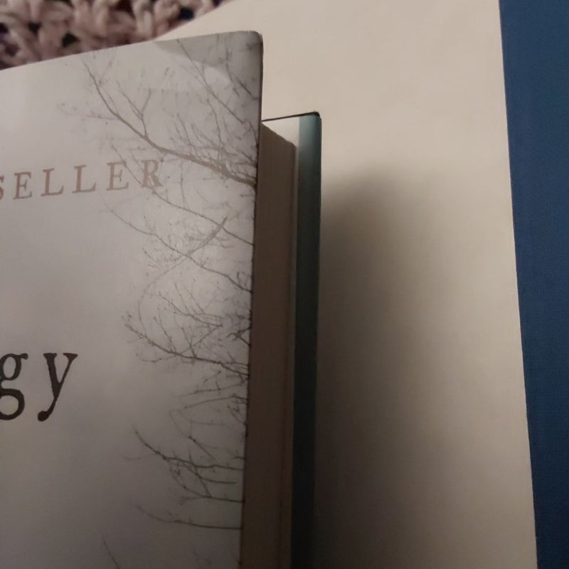 Hillbilly Elegy