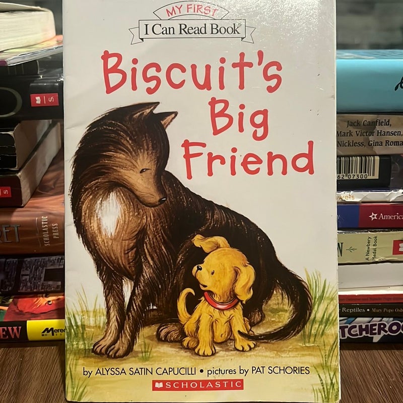 Biscuits Big Friend