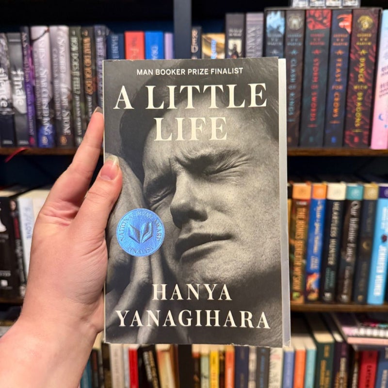 A Little Life