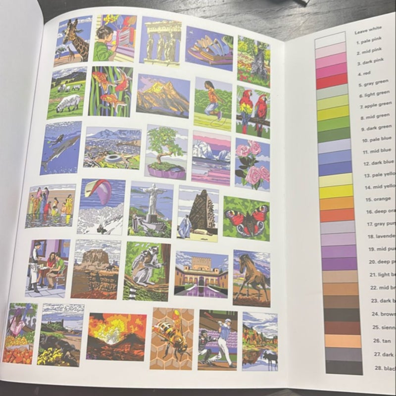 Our Beautiful World Color by Numbers