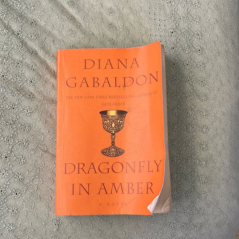 Dragonfly in Amber