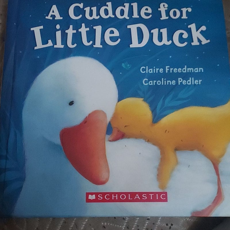 A Cuddle for Little Duck