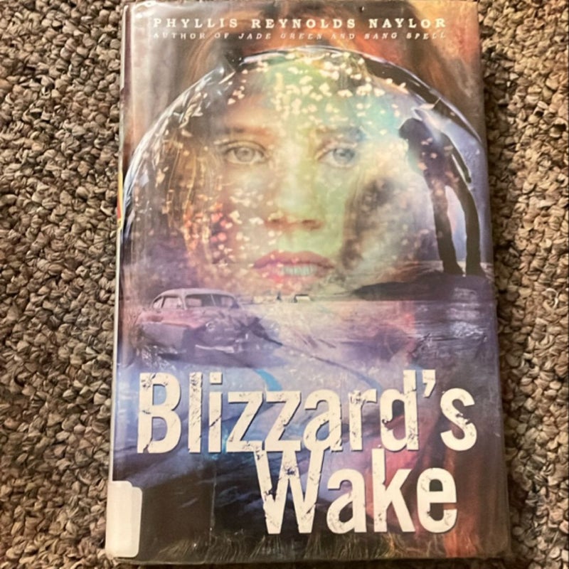 Blizzard's Wake