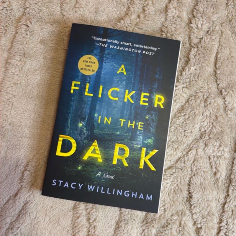 A Flicker in the Dark by stacy Willingham, Paperback | Pangobooks