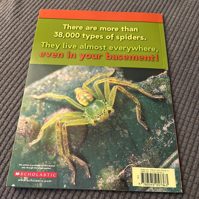 Spiders
