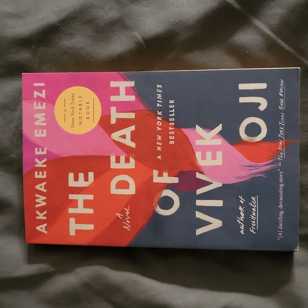 The Death of Vivek Oji