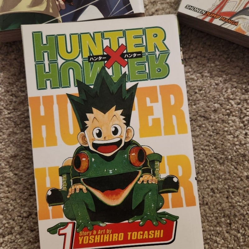 Hunter X Hunter, Vol. 1