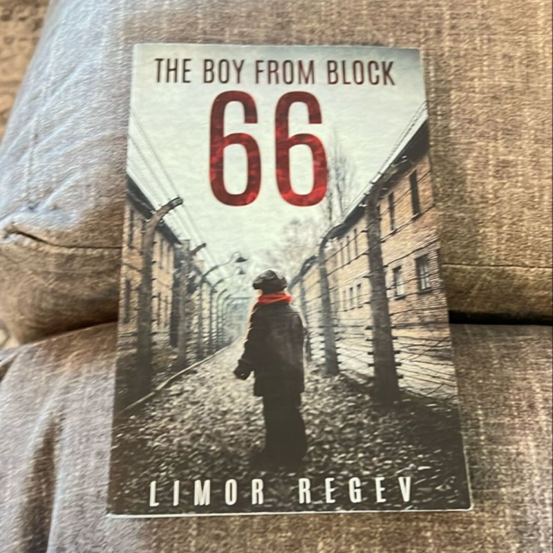 The Boy from Block 66: a WW2 Jewish Holocaust Survival True Story