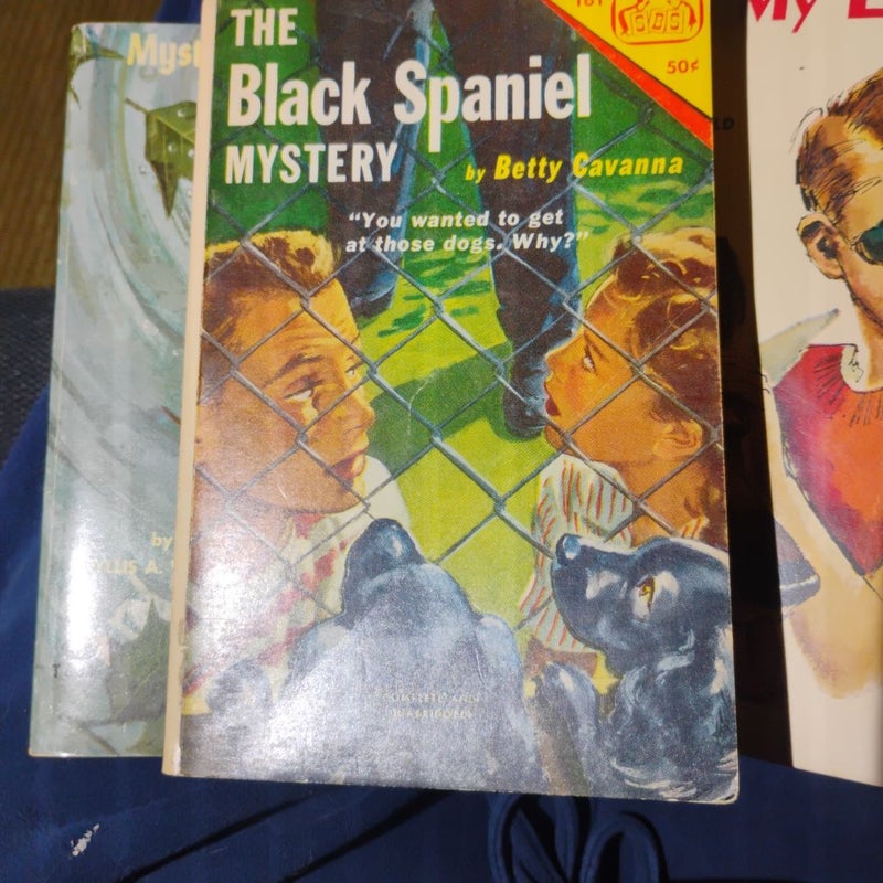 The Black Spaniel Mystery