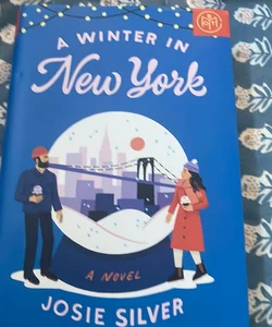 A Winter in New York