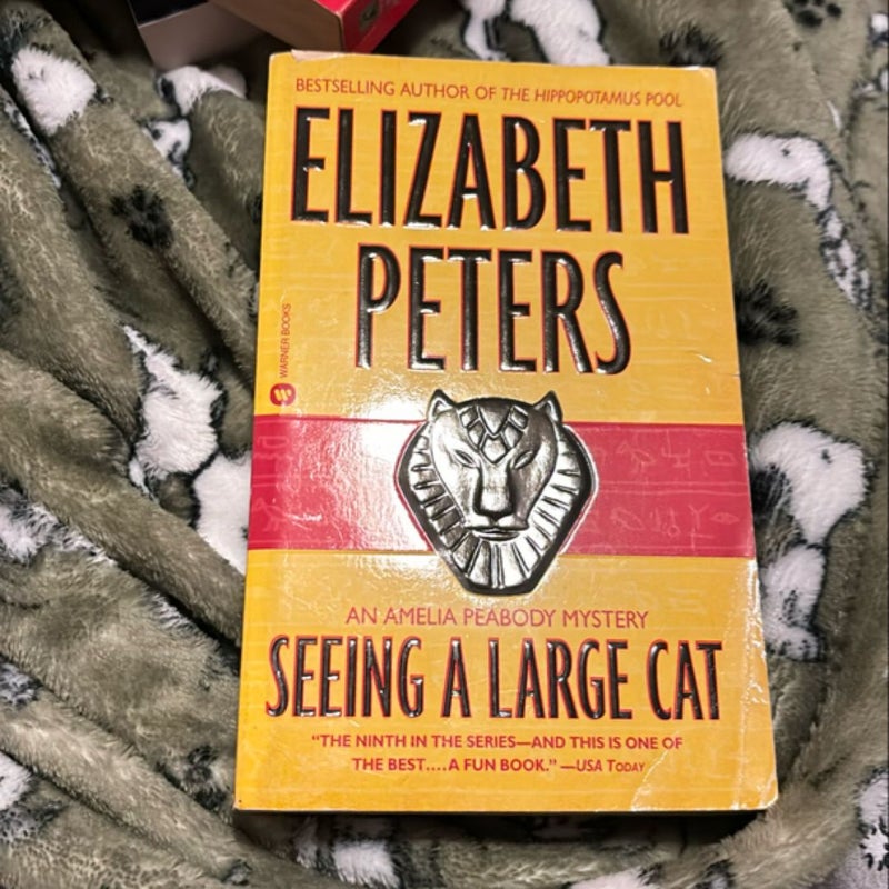 seeing a large cat
