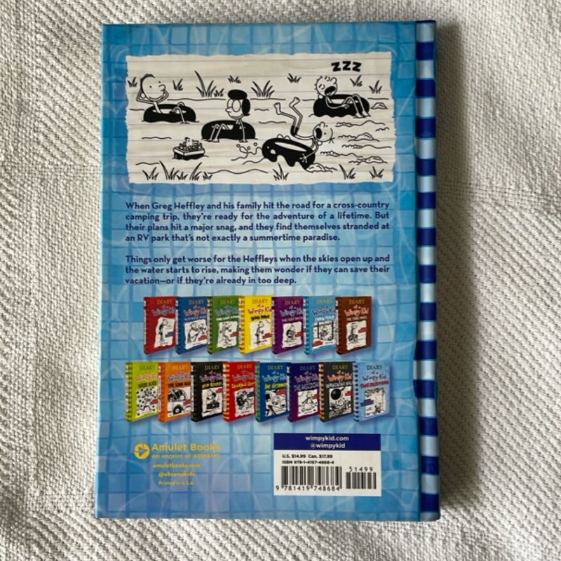 The Deep End (Diary of a Wimpy Kid Book 15)