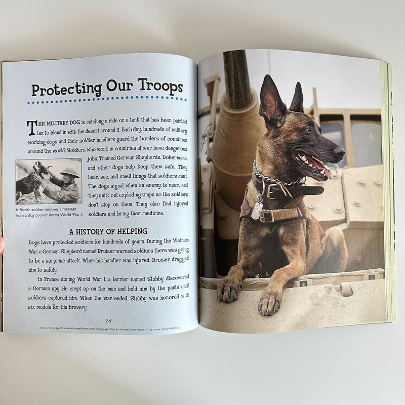 Dog Heroes, Tales of Dramatic Rescues