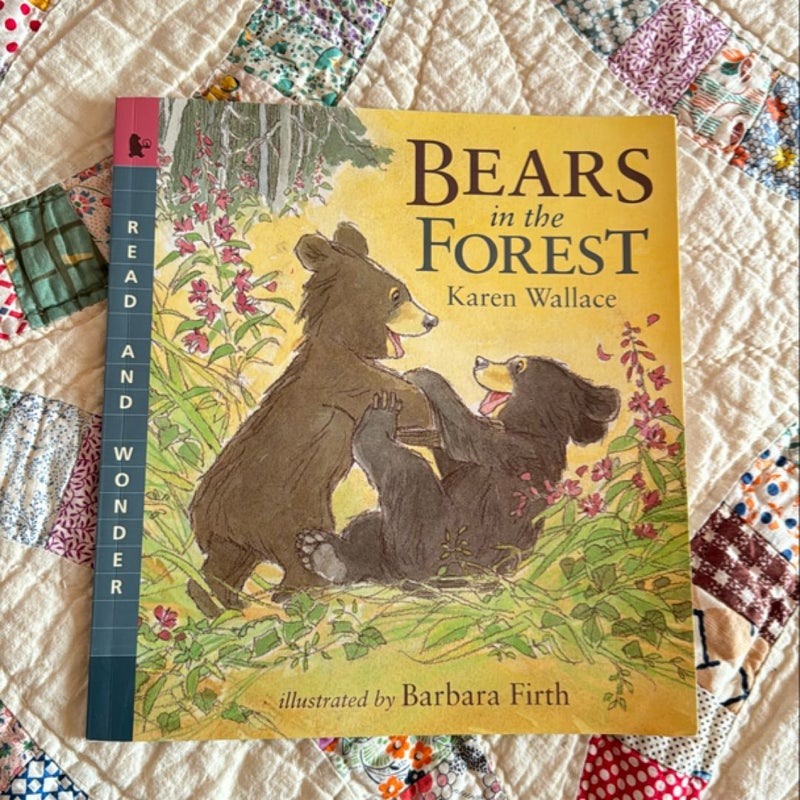 Bears in the Forest