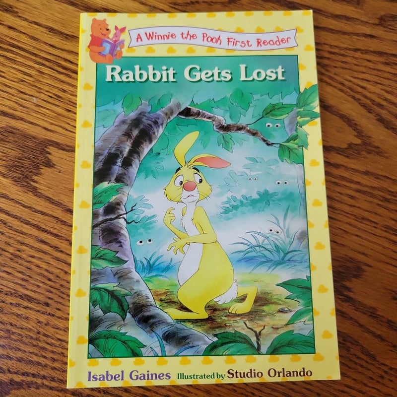 Rabbit Gets Lost