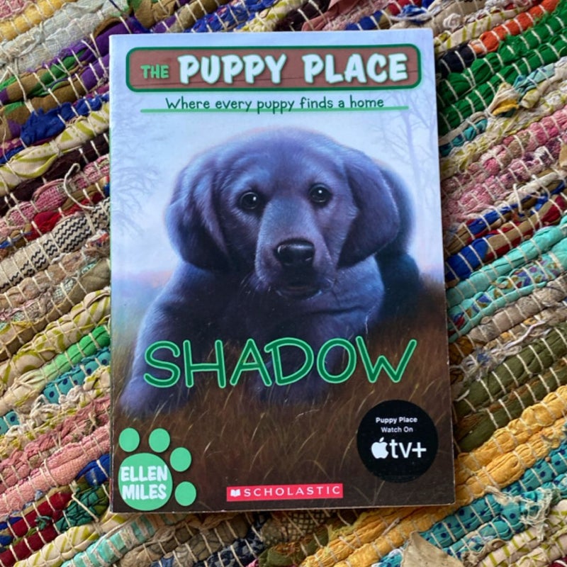 Shadow