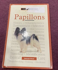 A New Owner's Guide to Papillons