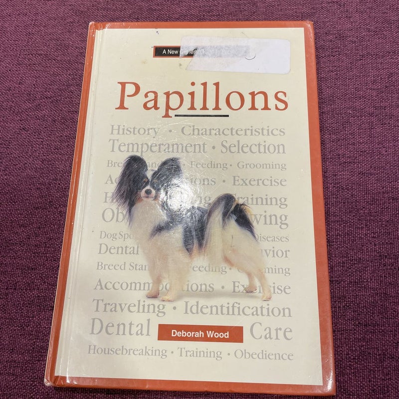 A New Owner's Guide to Papillons