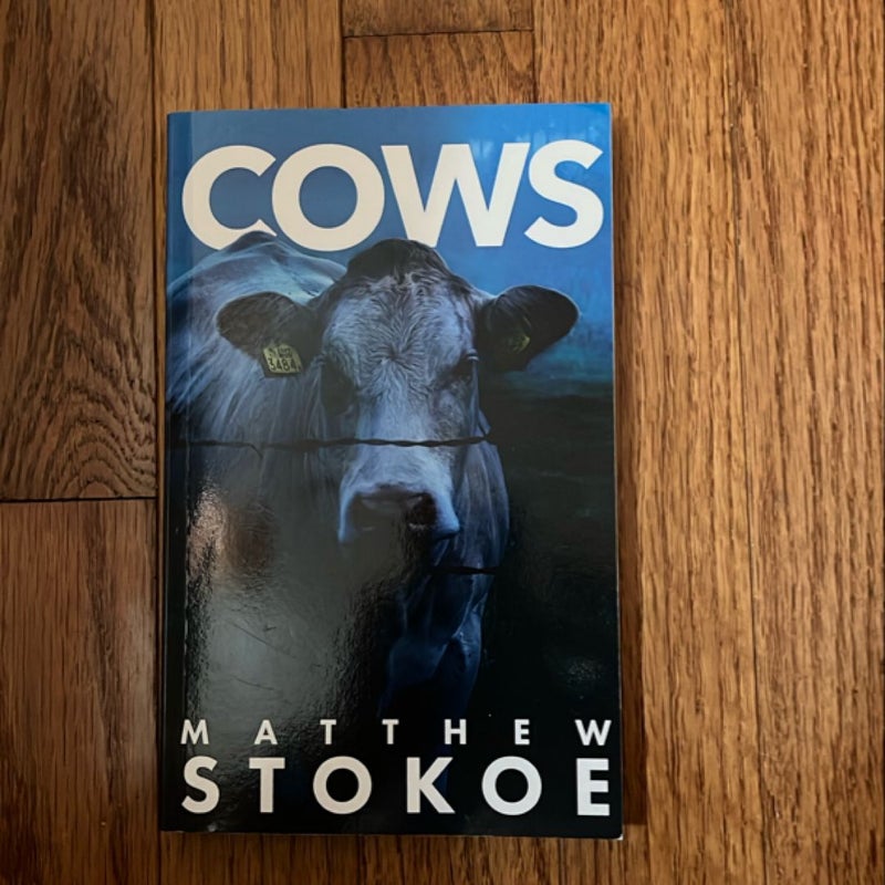 Cows