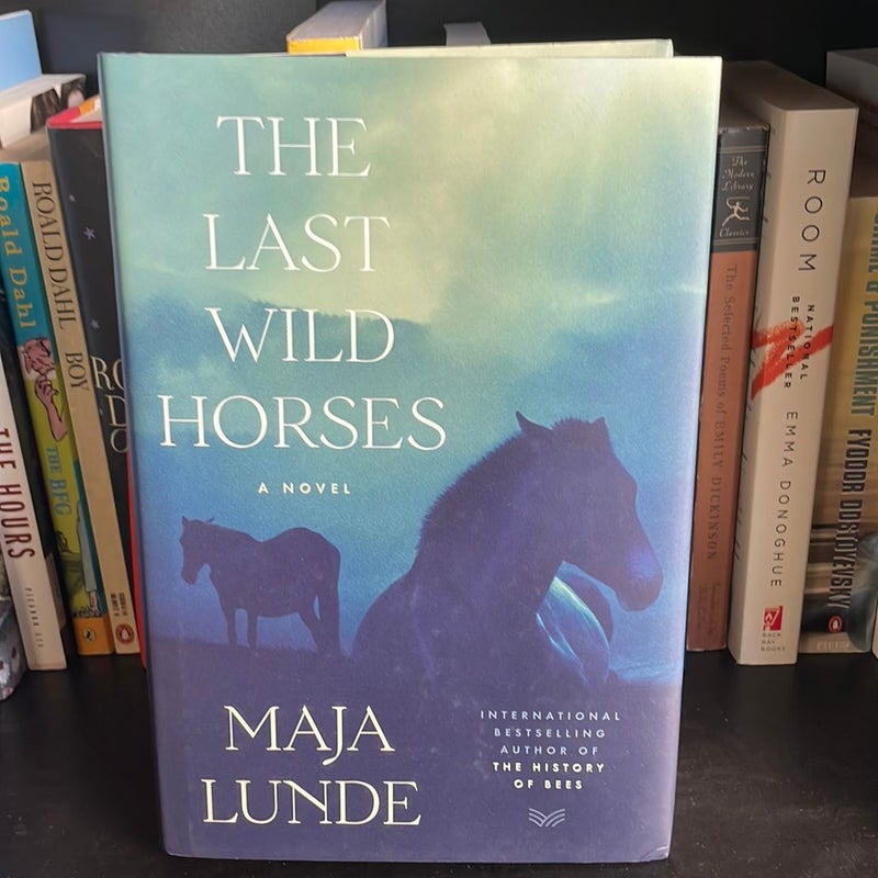 The Last Wild Horses