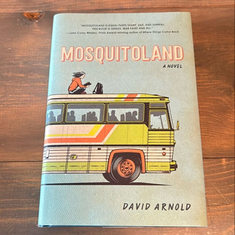 Mosquitoland 