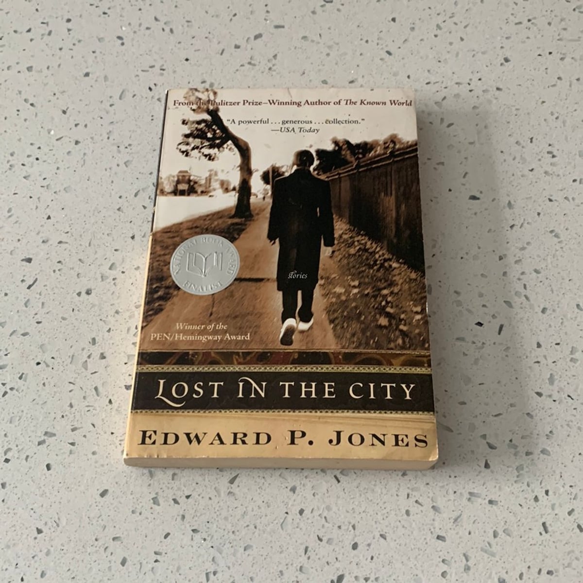 Lost in the City by Edward P. Jones