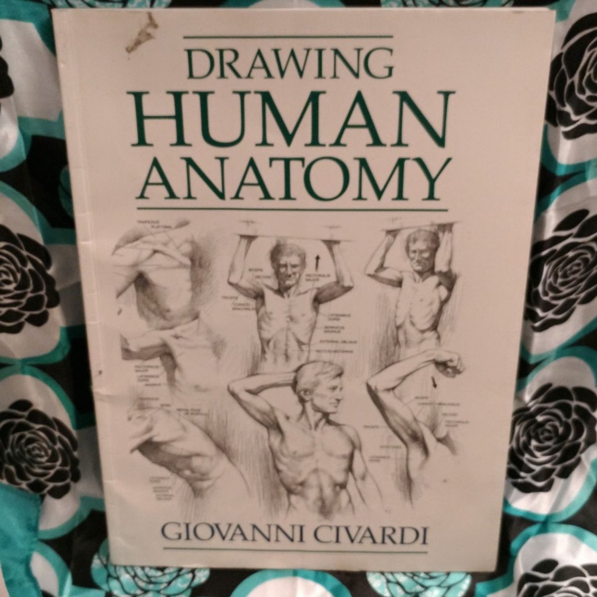 Drawing Human Anatomy by Giovanni Civardi