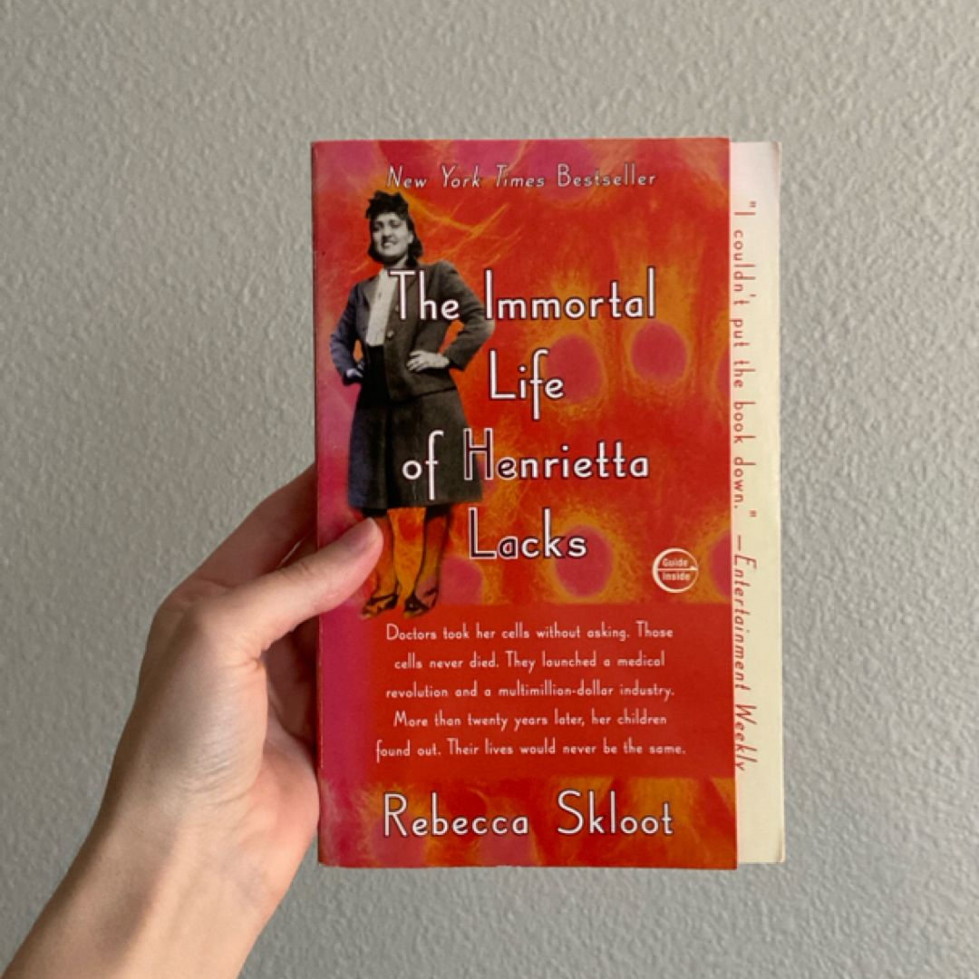 Sale image for 558a9b7e-2ea5-4f83-b960-ec462c6d476c-oZhlCSAz1kQzElAbG7MJsu1YViK2