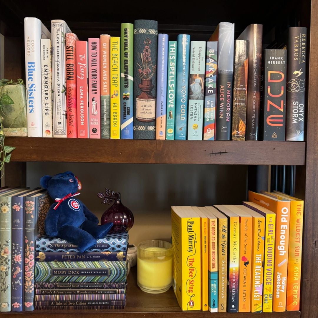 Steph’s Book Shop