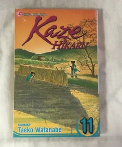 Kaze Hikaru, Vol. 11
