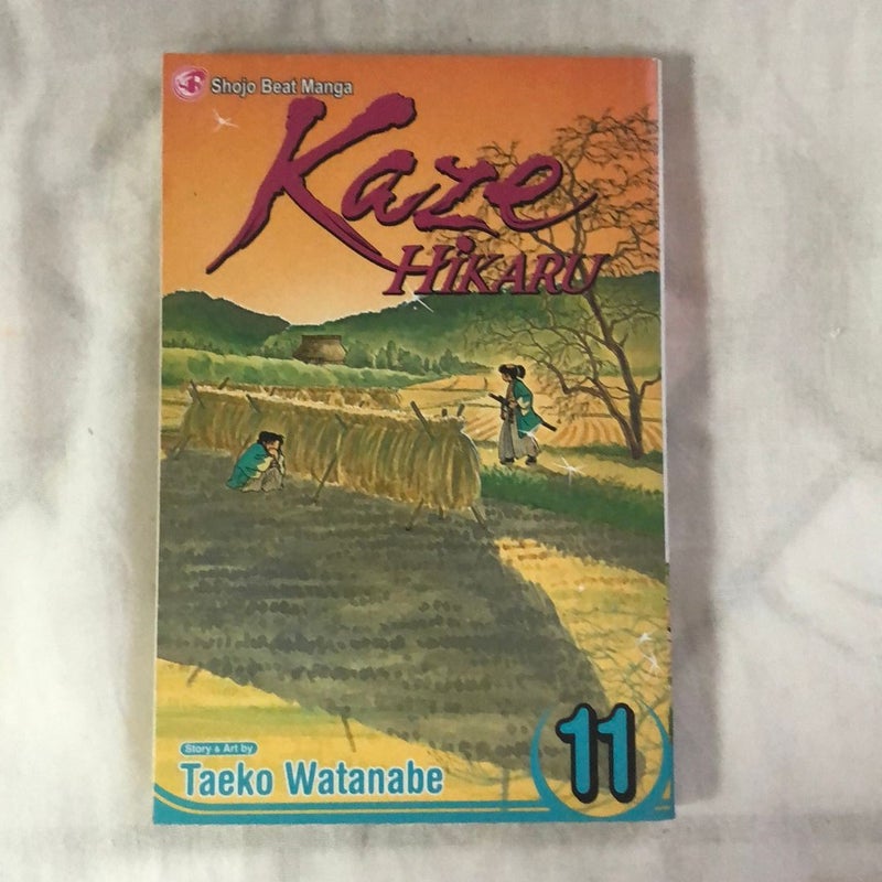 Kaze Hikaru, Vol. 11