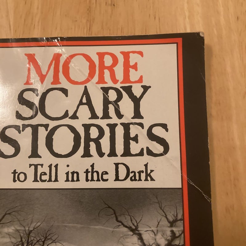 More Scary Stories to Tell in the Dark