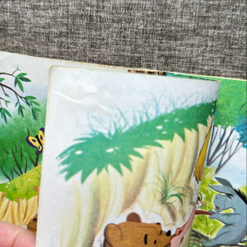 Winnie-the-Pooh Meets Gopher