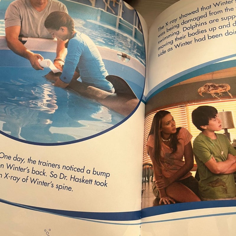 Dolphin Tale