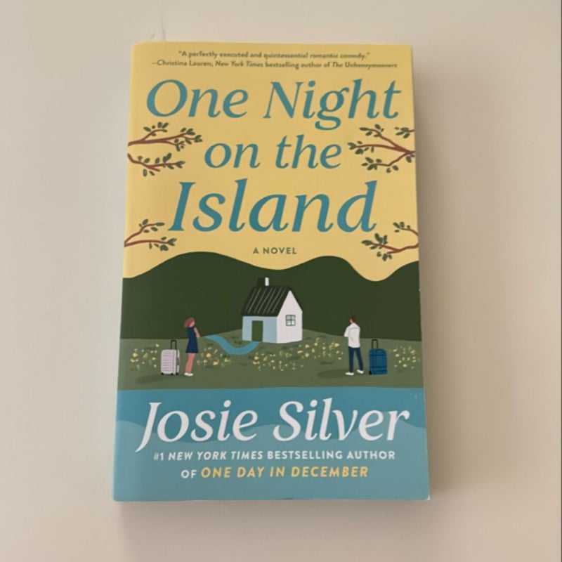 One Night on the Island