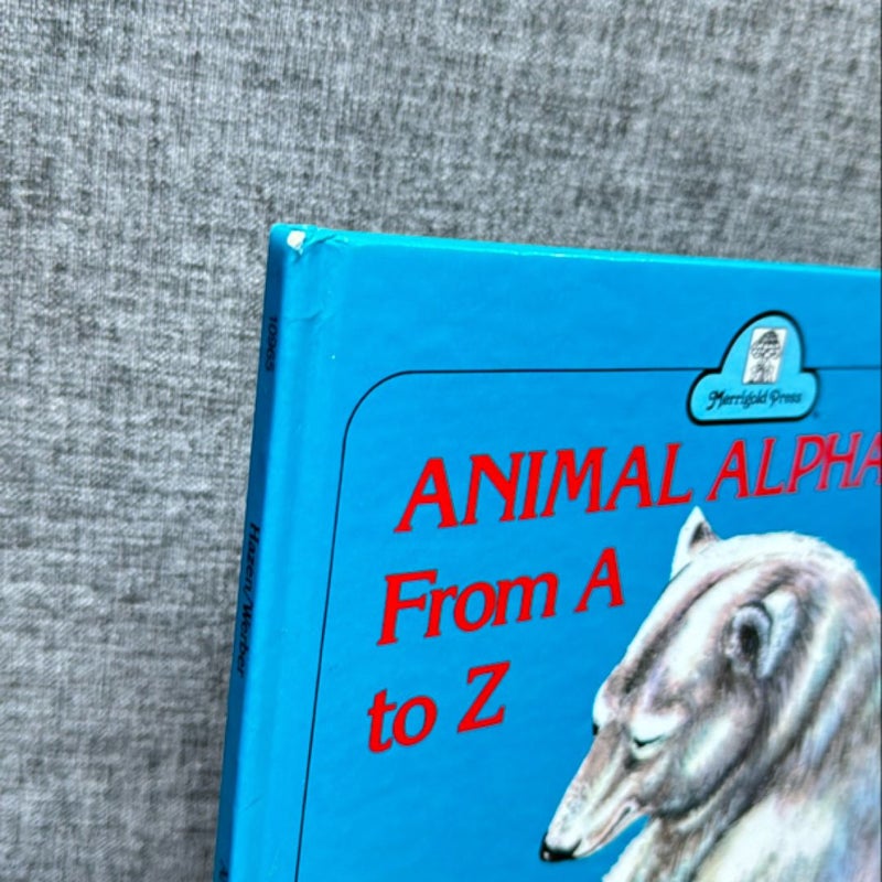 Animal Alphabet From A to Z