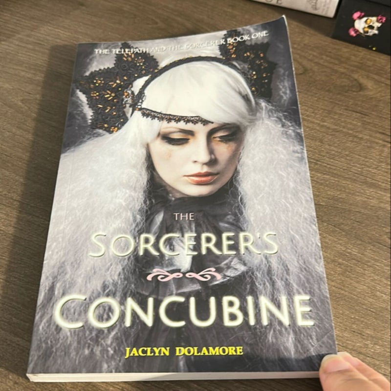 The Sorcerer's Concubine