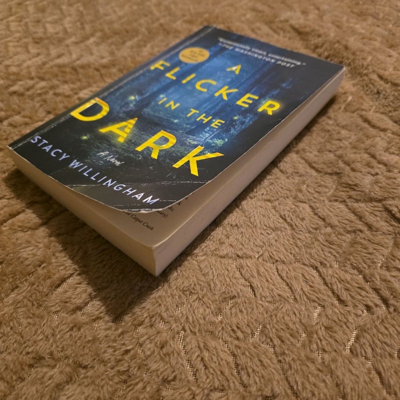 A Flicker in the Dark