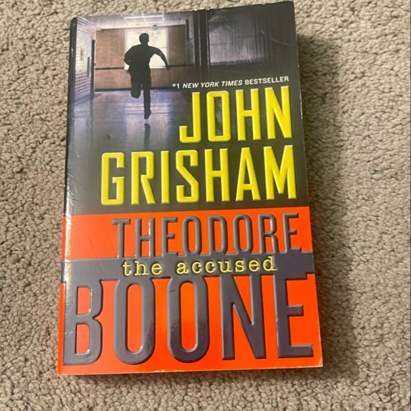 Theodore Boone: the Accused