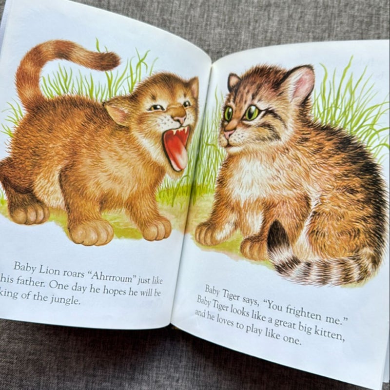 Baby Animals 