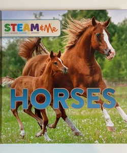 STEAM and Me Horses
