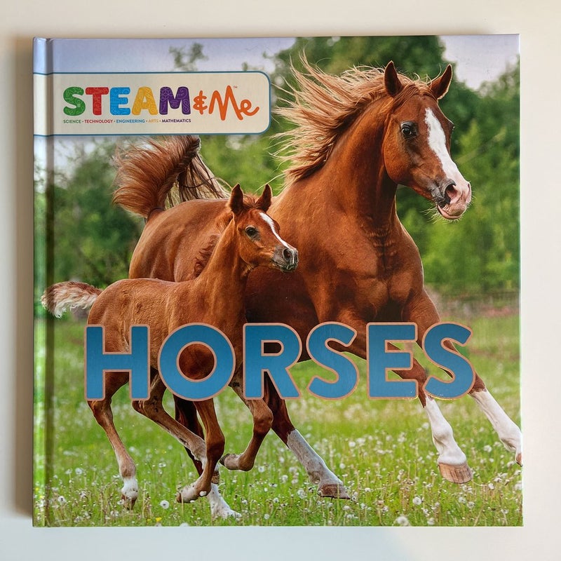 STEAM and Me Horses